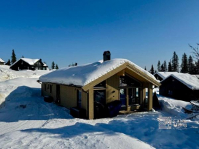 New cabin at Skeikampen, perfect for families!